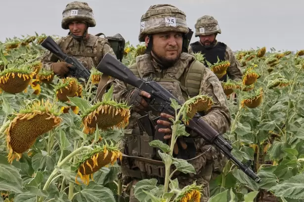 El girasol supera los US$500 y recupera valores previos a la guerra entre Rusia y Ucrania
