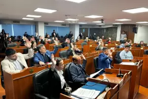 Diputados dio media sanci�n a una ley contra los deepfakes sexuales