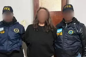 Detuvieron a una exdocente acusada de amenazar al Garrahan