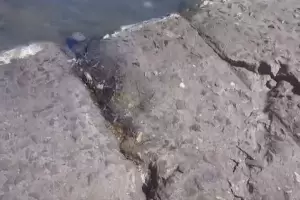 VIDEO. Vecinos advierten por grietas en el bad�n de Pomancillo Oeste