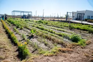 "Sembrando Bienestar": la Capital puso en valor la huerta urbana y terap�utica de Valle Chico