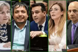 C�mo votaron los diputados catamarque�os los proyectos aprobados en Diputados