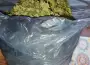 Llam� a la polic�a para denunciar un robo y le descubrieron m�s de un kilo de marihuana