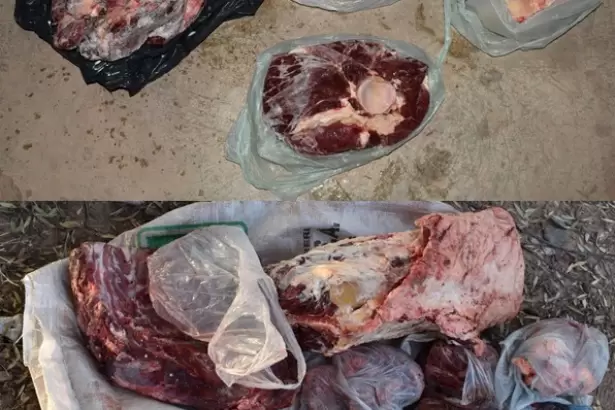 Abigeato en Catamarca: secuestran armas, carne y ganado tras un allanamiento
