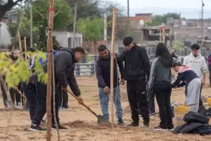 Forestaci�n en el canal de Choya: plantaron 70 �rboles y proyectan reconversi�n integral