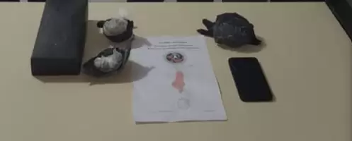 marihuana detenido