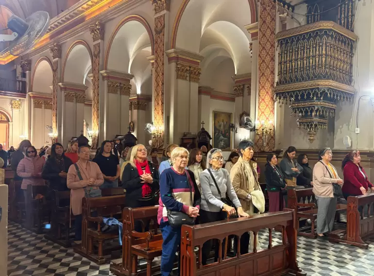 fiesta la protecci�n bajada
