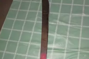Banda de Varela: secuestraron un machete de un caso de maltrato animal