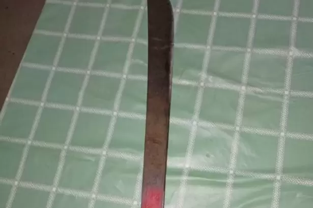 Banda de Varela: secuestraron un machete de un caso de maltrato animal