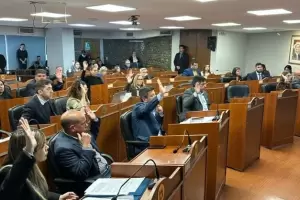 Diputados avanz� con medidas contra las estafas, la diabetes infantil y barreras de accesibilidad