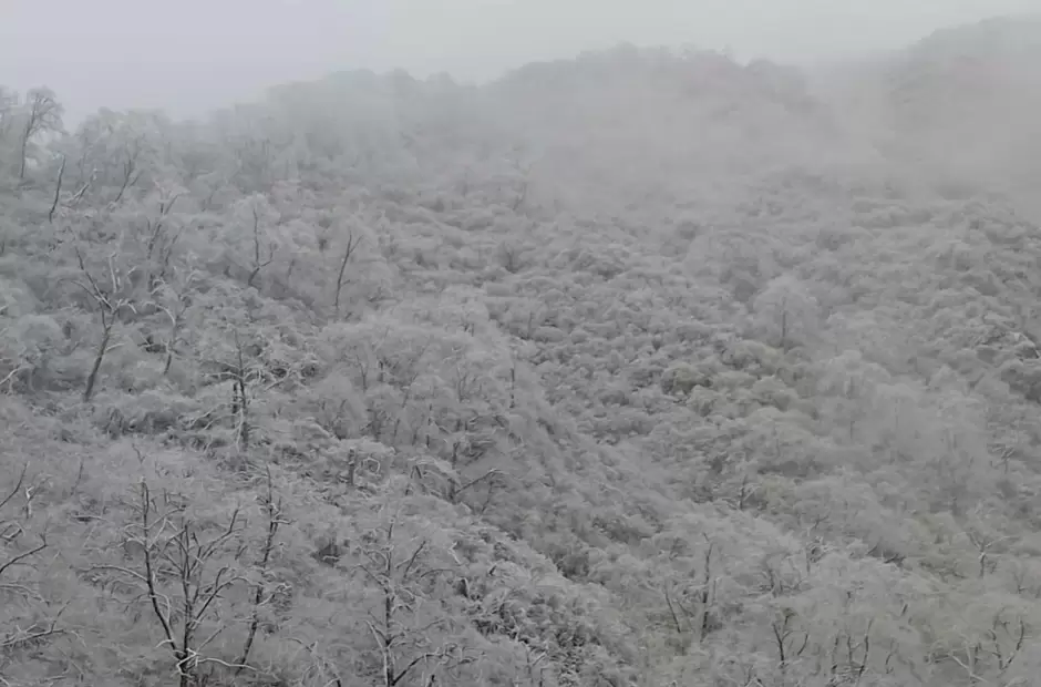 Nieve en Las Chacritas, Ambato. Foto gentileza Wallther ZamoraInfo
