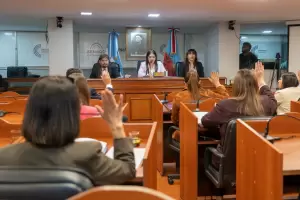 Senado: es la ley de Registro de Agresores Sexuales en Catamarca