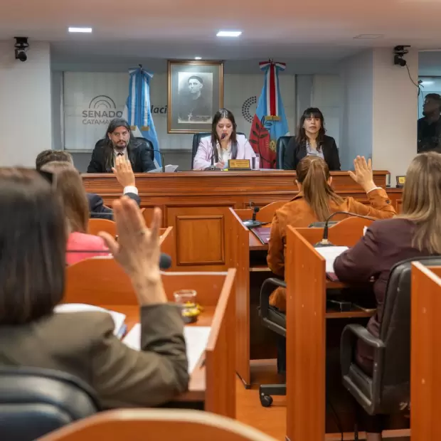 Senado: es ley el Registro de Agresores Sexuales en Catamarca