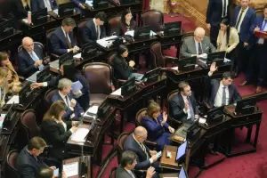 Con respaldo de la oposici�n, el Senado aprob� la ley Inocencia Fiscal II