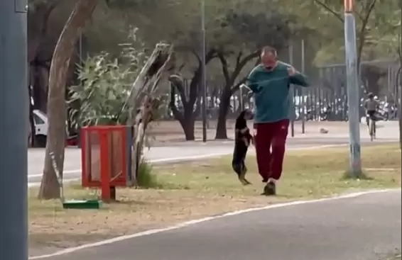 rescatado maltrato