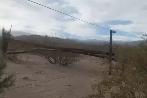 Viento Zonda derrib� 15 postes y dej� sin luz al norte de Fiambal�