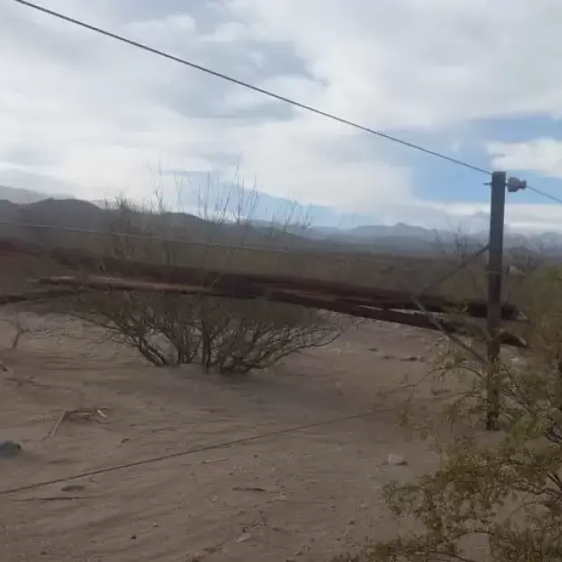 Viento Zonda derrib� 15 postes y dej� sin luz al norte de Fiambal�
