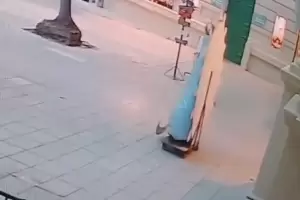 "Ya quiere salir caminando": el video viral de la Virgen de Luj�n que sorprende a todos