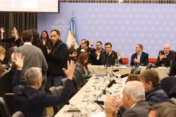Diputados: tras el volantazo, el oficialismo se queda con el dictamen por Discapacidad