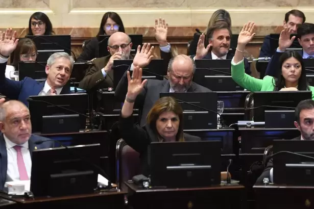 El Senado convirti� en ley el recorte de subsidios en zonas fr�as
