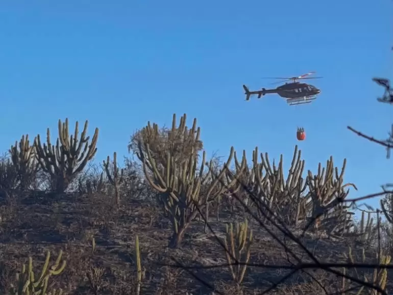 Incendios forestales