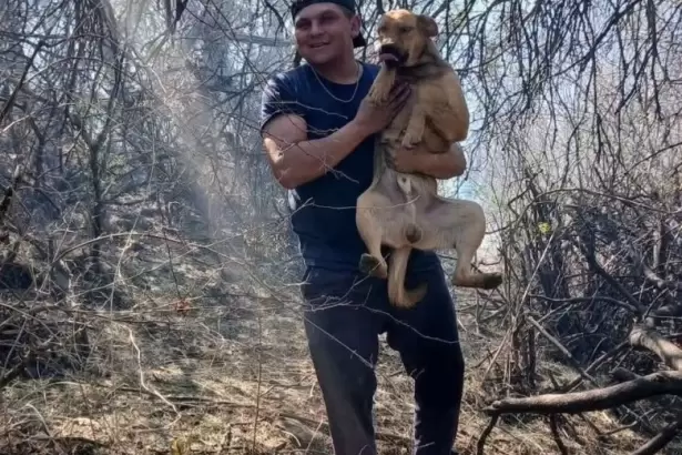 Un hombre rescat� a un perro en medio del incendio en Banda de Varela
