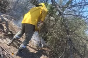 Incendios forestales: el fuego ya afect� m�s de 3.000 hect�reas y hay dos focos activos