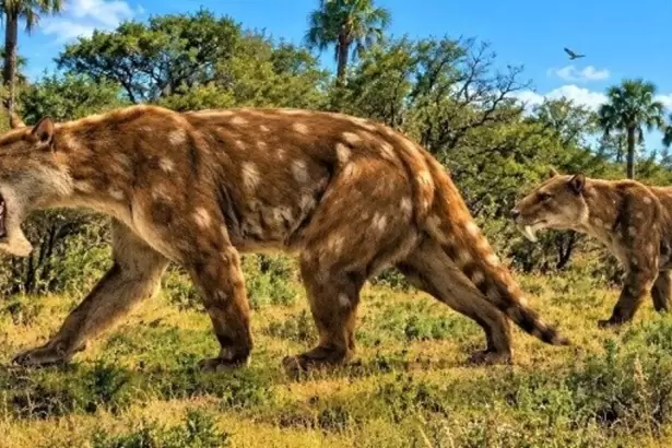 Hist�rico: hallan una nueva especie de marsupial "dientes de sable" que vivi� en Argentina