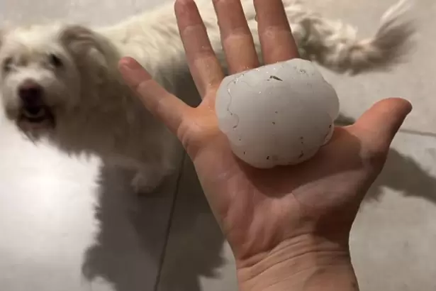 Tremendo: as� es el granizo que cay� en distintas zonas de C�rdoba