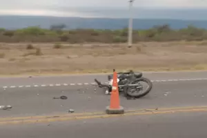 Motociclista impact� contra un animal suelto en la Circunvalaci�n: est� hospitalizado