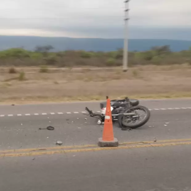 Motociclista impact� contra un animal suelto en la Circunvalaci�n: est� hospitalizado