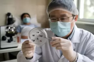Detectan un nuevo virus transmitido por garrapatas que explicar�a casos de fiebre sin diagn�stico