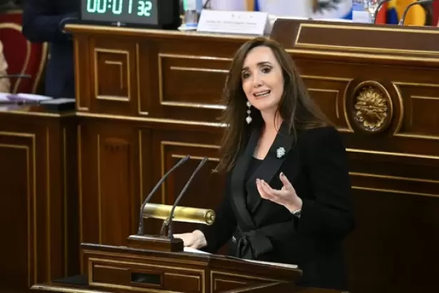 En Madrid, Villarruel pidi� apoyo a la industria y volvi� a diferenciarse de Milei