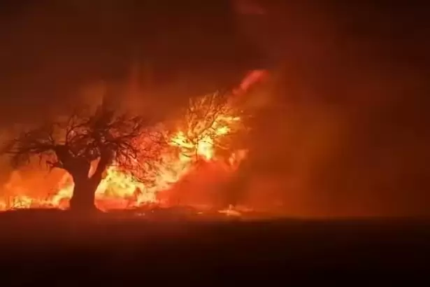 Catamarca: un incendio forestal en Los Nacimientos provoc� da�os en una vivienda