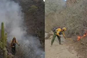 Temporada alta: Catamarca registr� siete incendios forestales durante el fin de semana