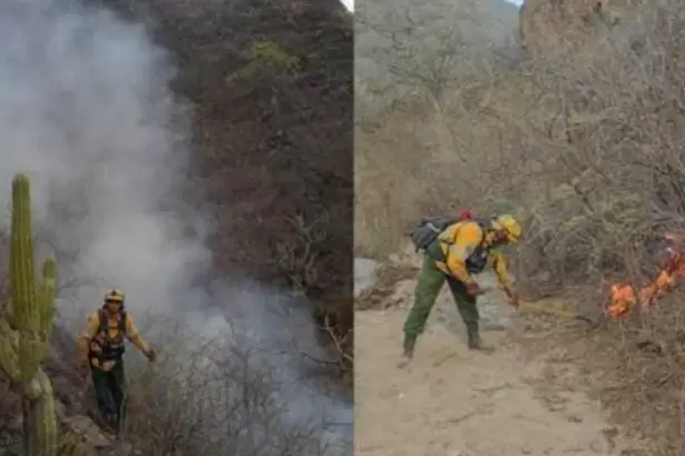 Temporada alta: Catamarca registr� siete incendios forestales durante el fin de semana