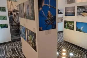 Con la sala colmada se inaugur� "Aves de Catamarca: Retratos de Libertad"