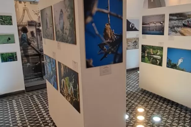 Con la sala colmada se inaugur� "Aves de Catamarca: Retratos de Libertad"