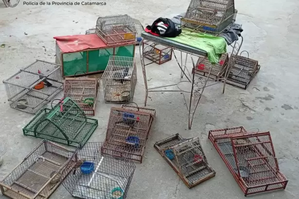 Secuestraron 17 aves y 15 jaulas durante registros domiciliarios en Catamarca