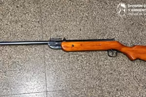 Crueldad animal: secuestran rifle de aire comprimido en la Capital