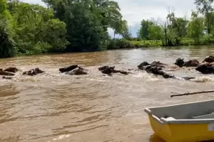 El "S�per Ni�o" amenaza con encarecer la carne y el arroz en Argentina