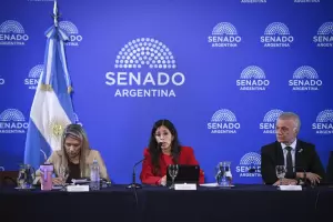 Avanza la reforma de la Ley de Salud Mental: habilitan internaciones involuntarias e incorporan las adicciones