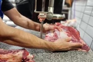 Gast� casi $200.000 y llen� el freezer: la compra mensual de una influencer que se volvi� viral