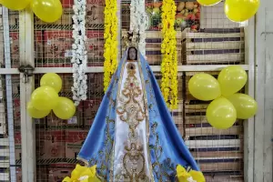 La Virgen del Valle visitar� organismos e instituciones de Catamarca esta semana