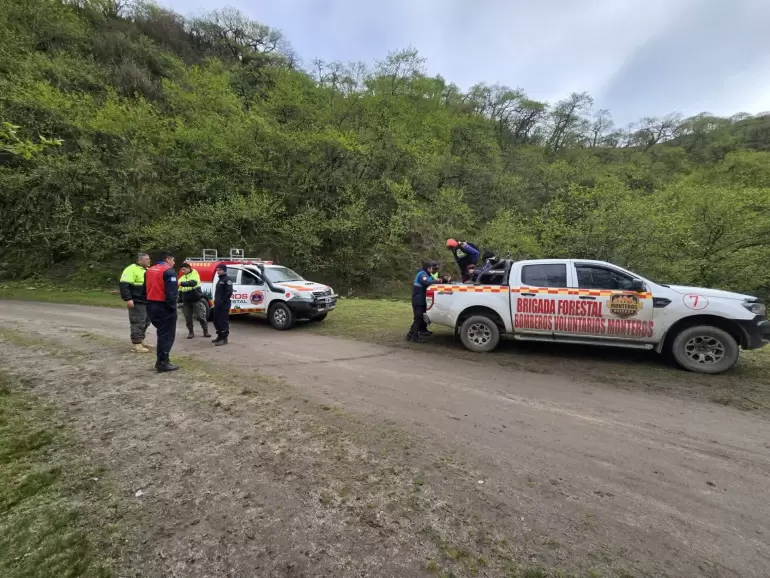 busqueda bomberos moyano
