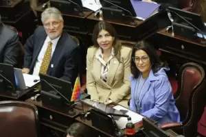 Salud Mental: el oficialismo consigui� las firmas y la reforma podr�a debatirse en el Senado