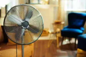 C�mo elegir el mejor ventilador para tu hogar este verano