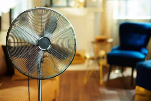 C�mo elegir el mejor ventilador para tu hogar este verano