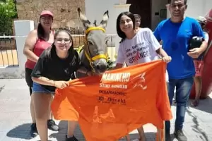 Conmoci�n: robaron y mataron a un burro multicampe�n y querido por la comunidad