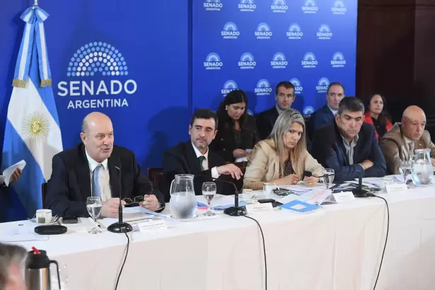 Senado tratar� el proyecto de propiedad privada que restituye el l�mite de venta de tierras rurales